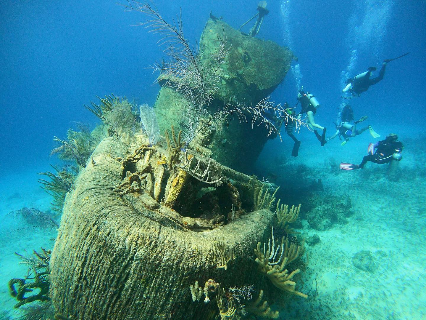 Stuart Cove’s TripHock