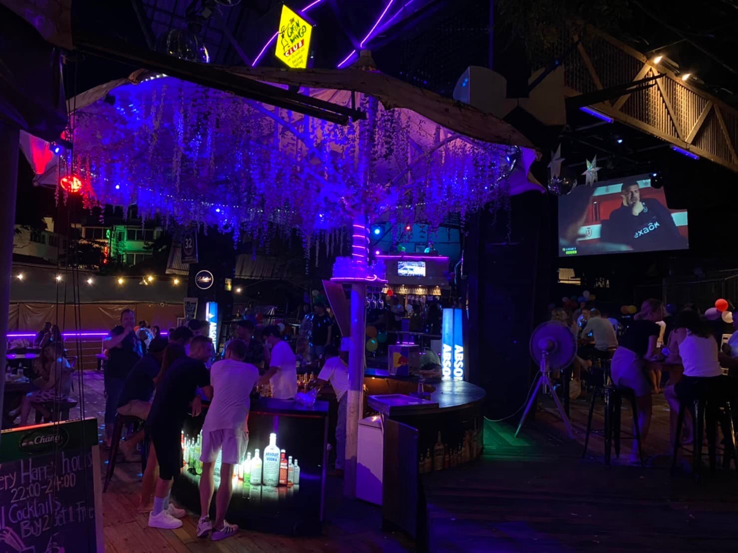 The Green Mango Club Koh Samui TripHock
