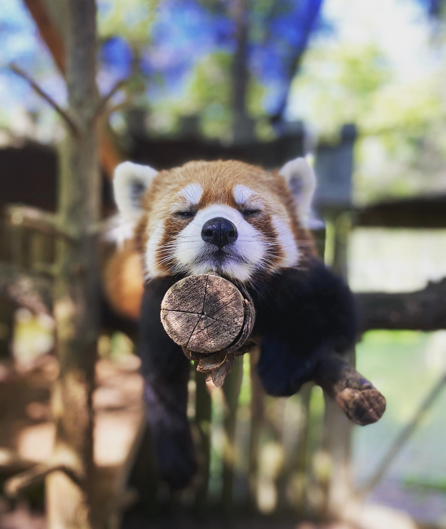 Toronto Zoo TripHock