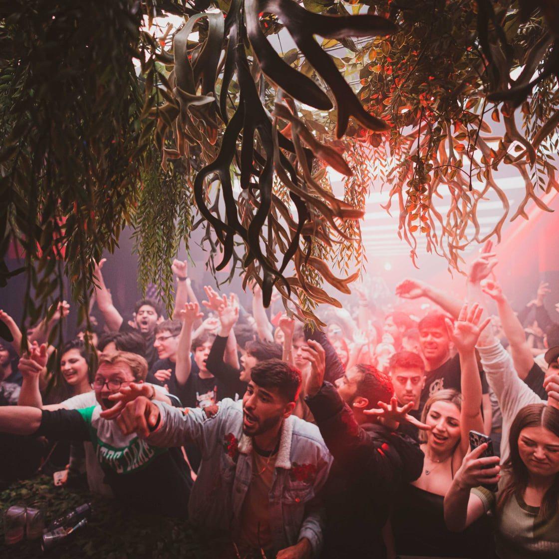 Toybox Club TripHock