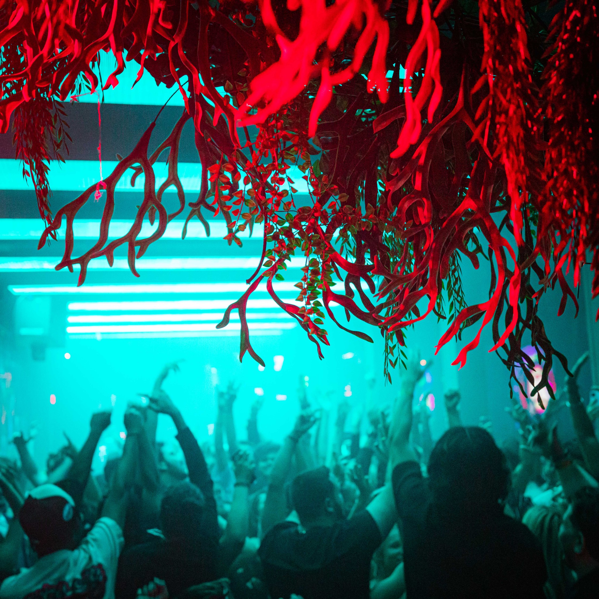 Toybox Club TripHock