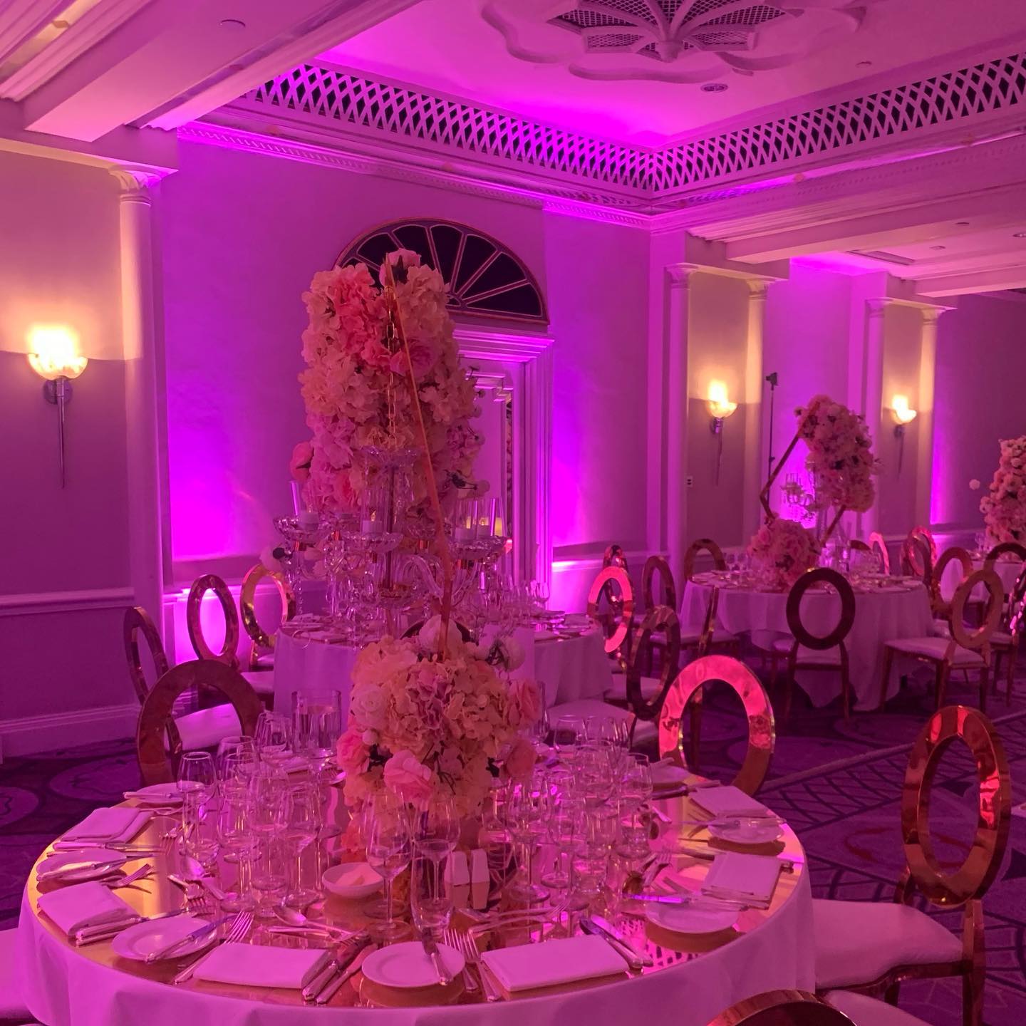 Palm Court London TripHock