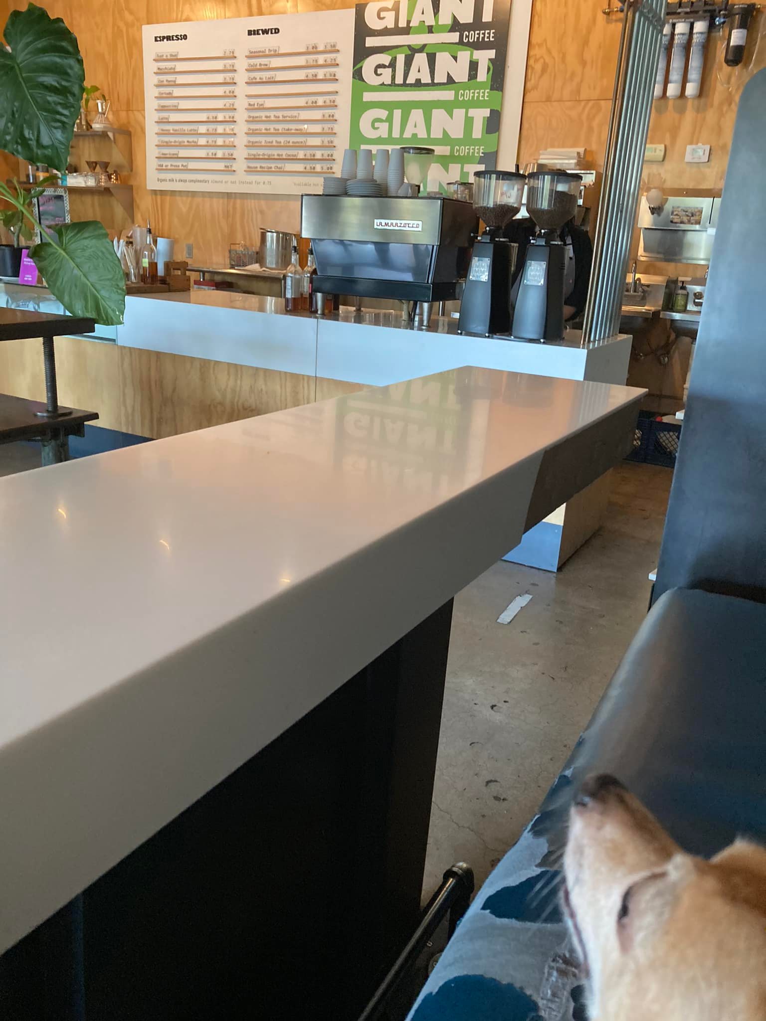 Giant Coffee TripHock