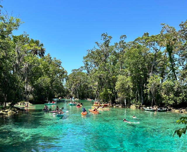 Crystal River, Florida Manatees and More! Trip Jaunt Trip Jaunt