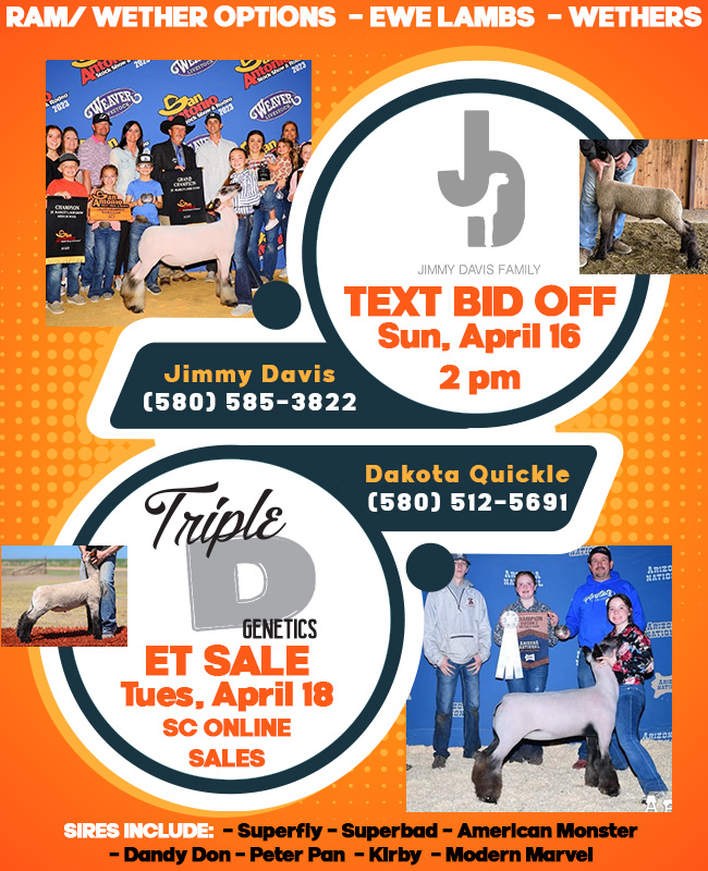 Triple D Club Lambs Sales