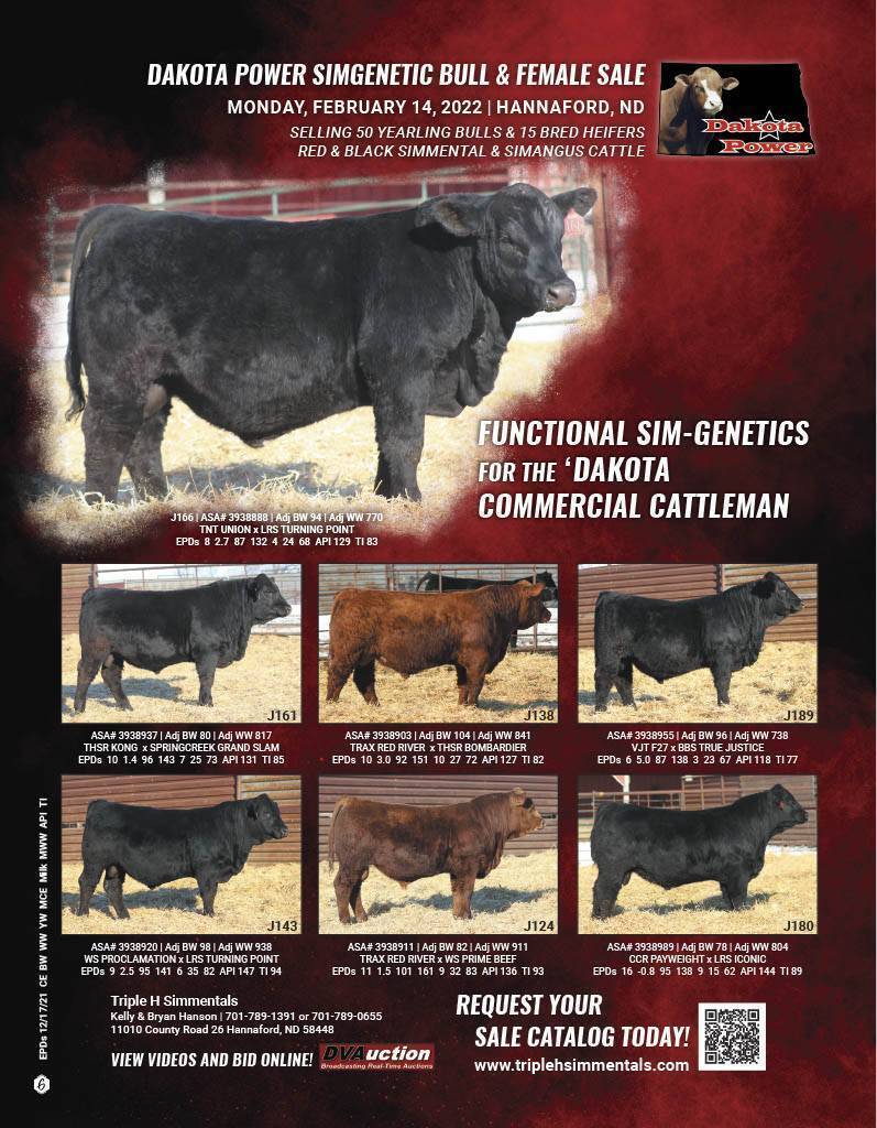 Triple H Simmentals Hannaford, North Dakota