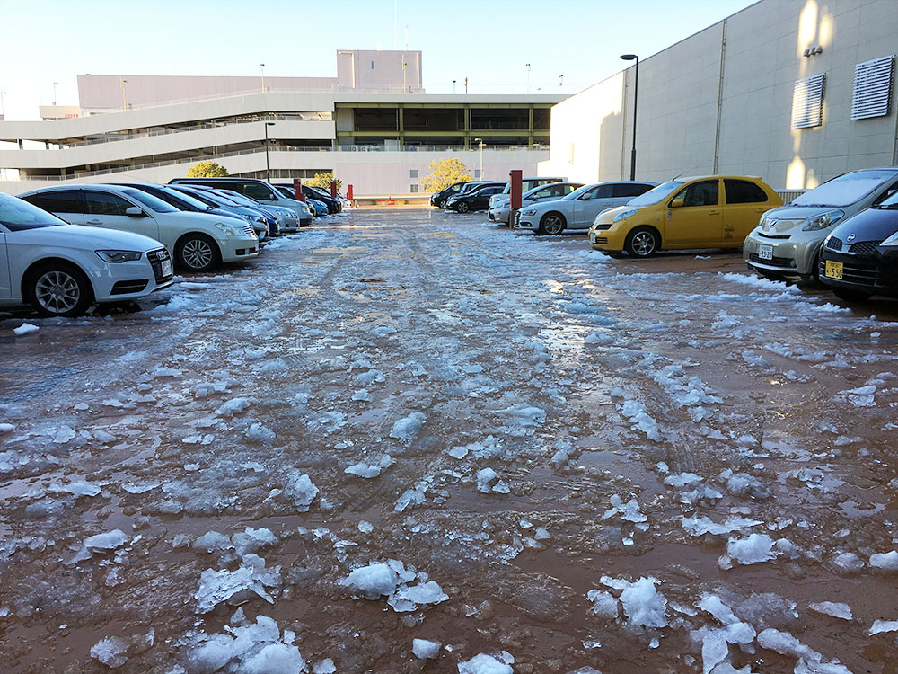 Of ice, books, and germs • tripleRIN