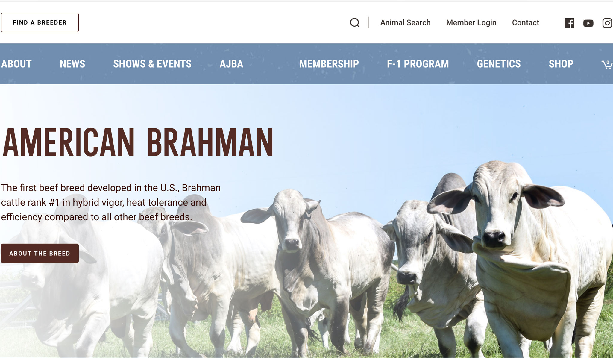 Links Triple Son Farms