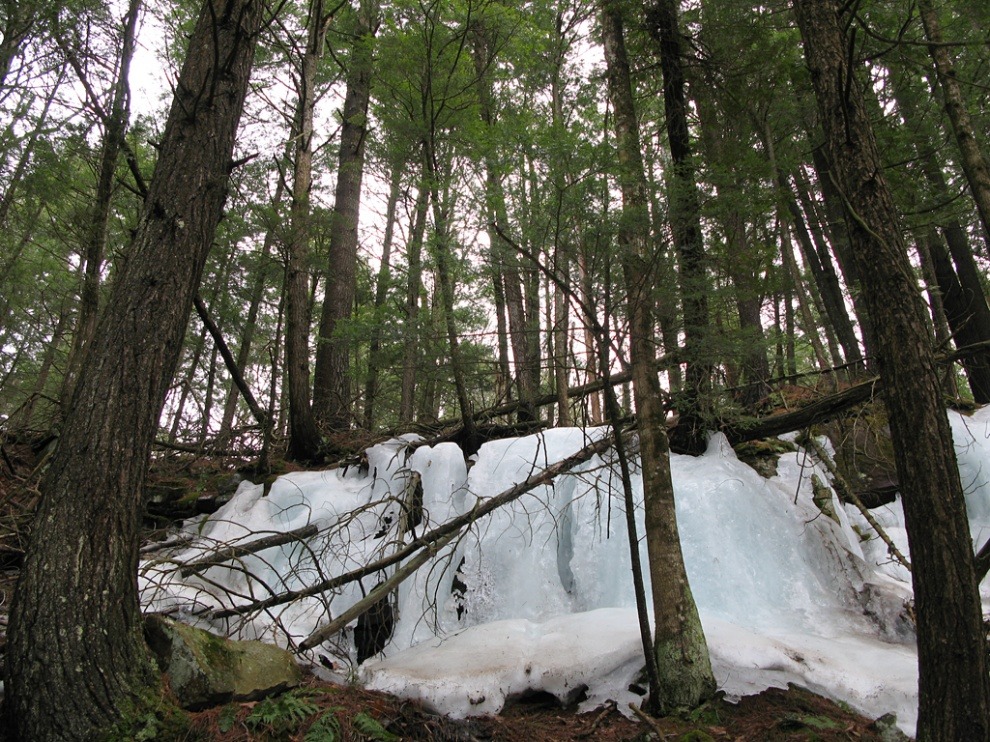 Randonnée sur les rives de la rivière Rouge • TripLevé
