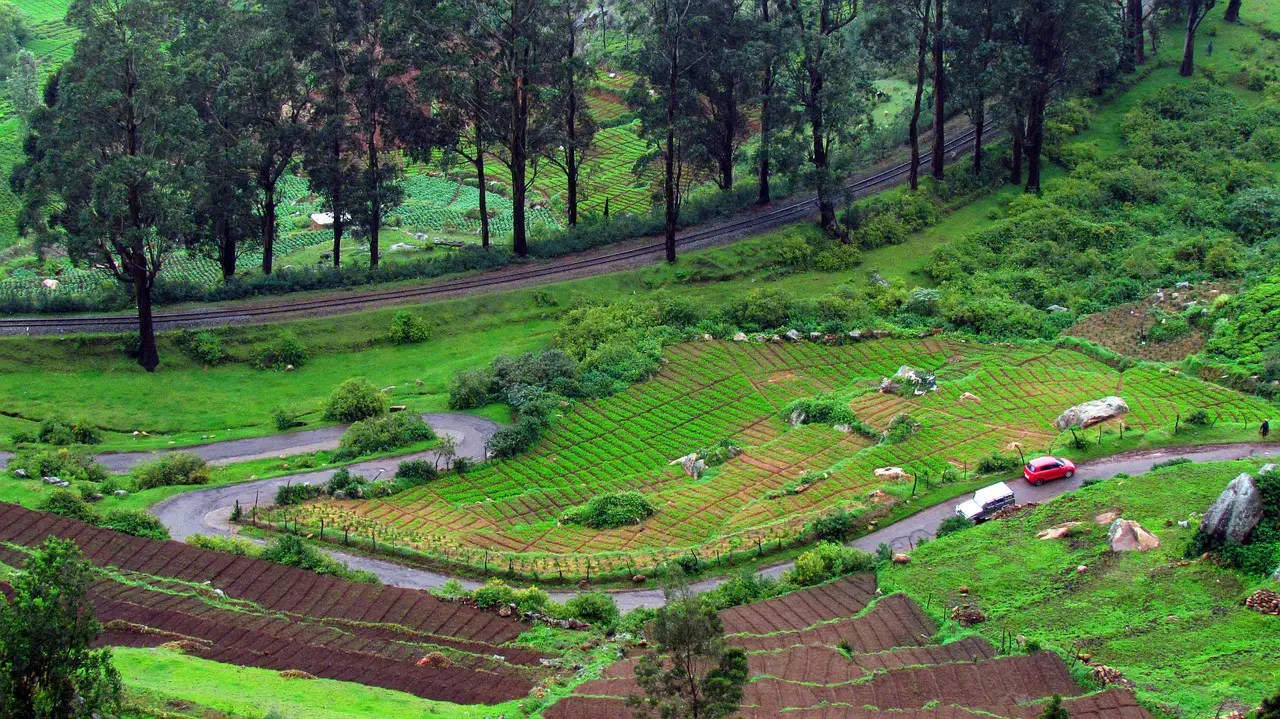 7 Places to Visit in Ooty Itinerary & Things to do in Ooty » Blog 2020