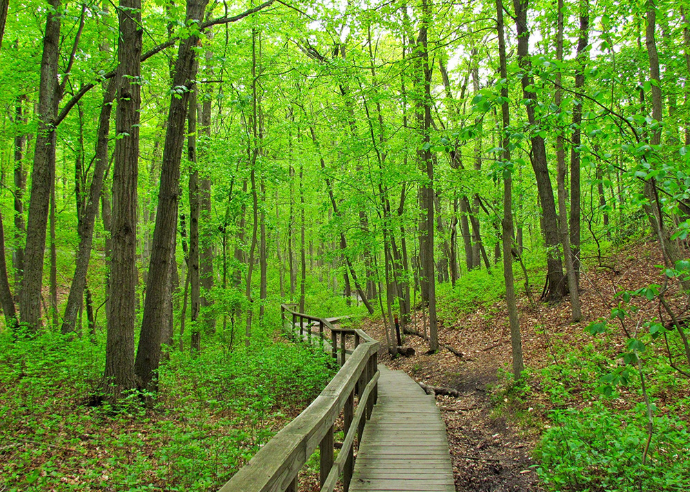 Best Places To Hike Near Toronto For Hiking Journey