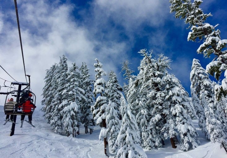 Ski Rental Prices Comparison Top Ski Destinations TripOutside