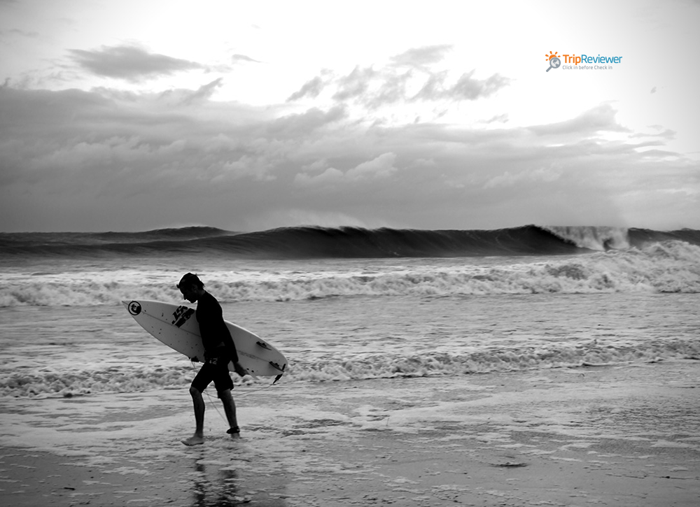 4 best surfing spots in America Trip Reviewer