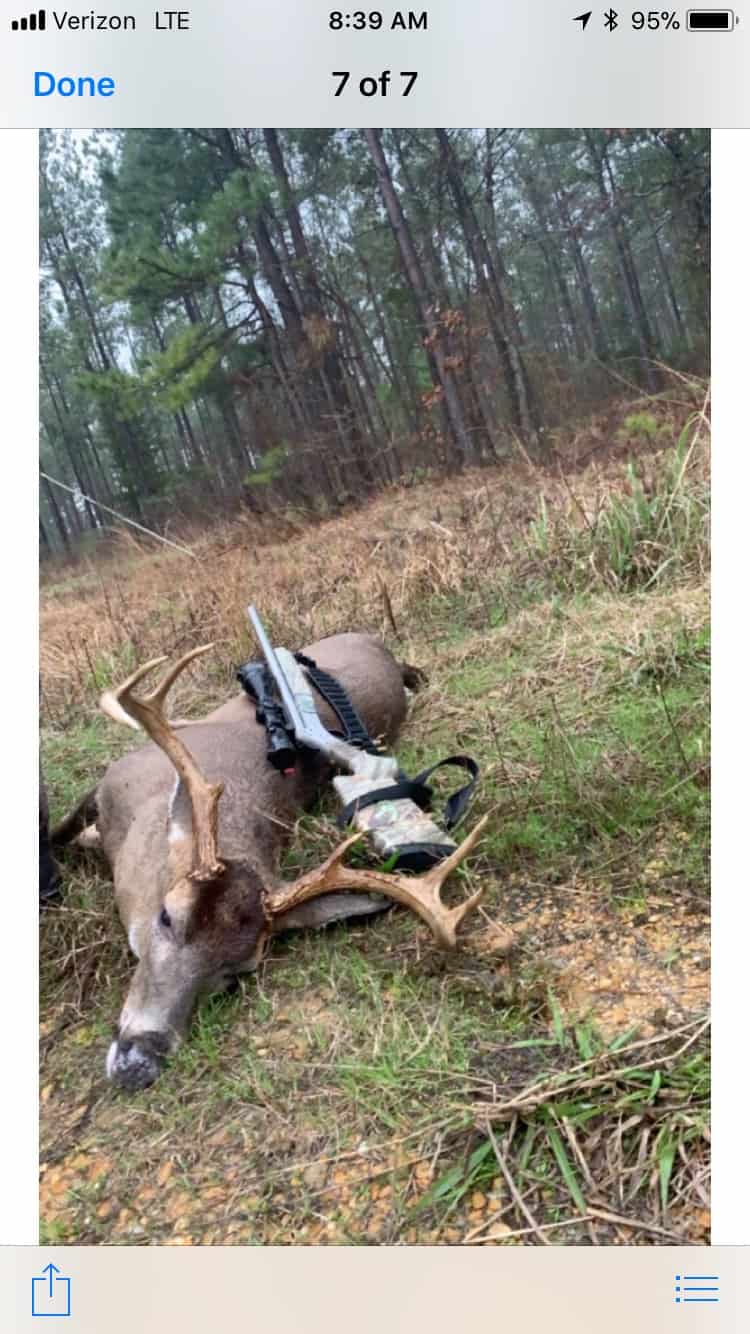 Whitetail Deer Hunting MS Trips4Trade