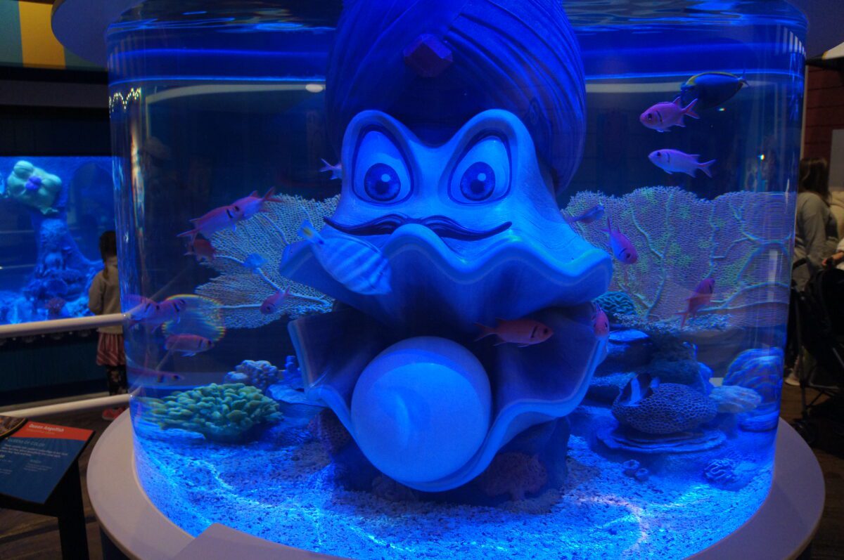 Branson Aquarium Aquarium at the Boardwalk Branson, MO