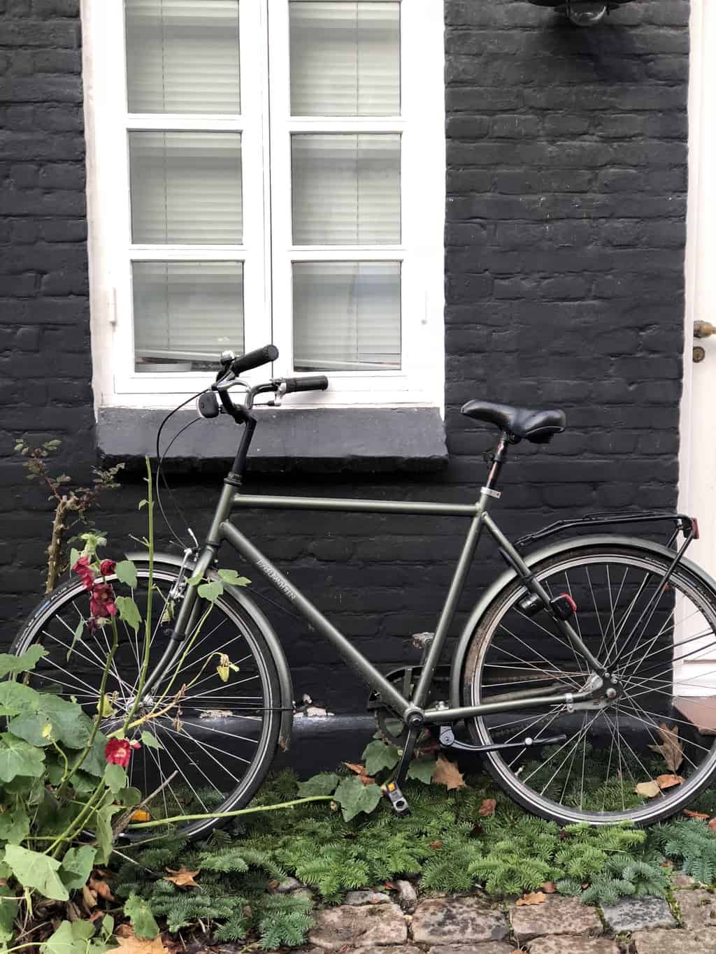 Best places for cycling in the UK [+ Cycle Fest and Experience Freedom]