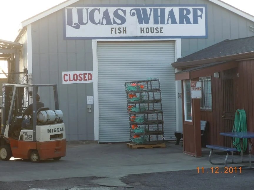 Sonoma County California Getaways / Bodega Bay and Guerneville TRIPS