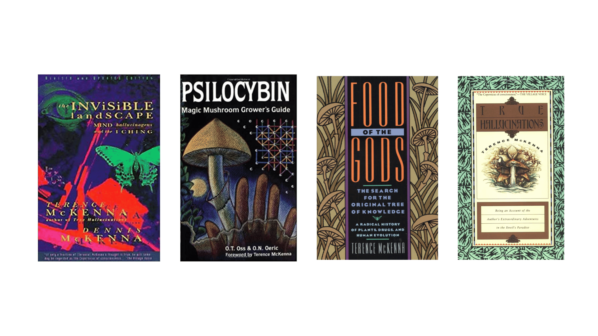 Terence McKenna Life, Lectures, Philosophy, & Quotes Tripsitter