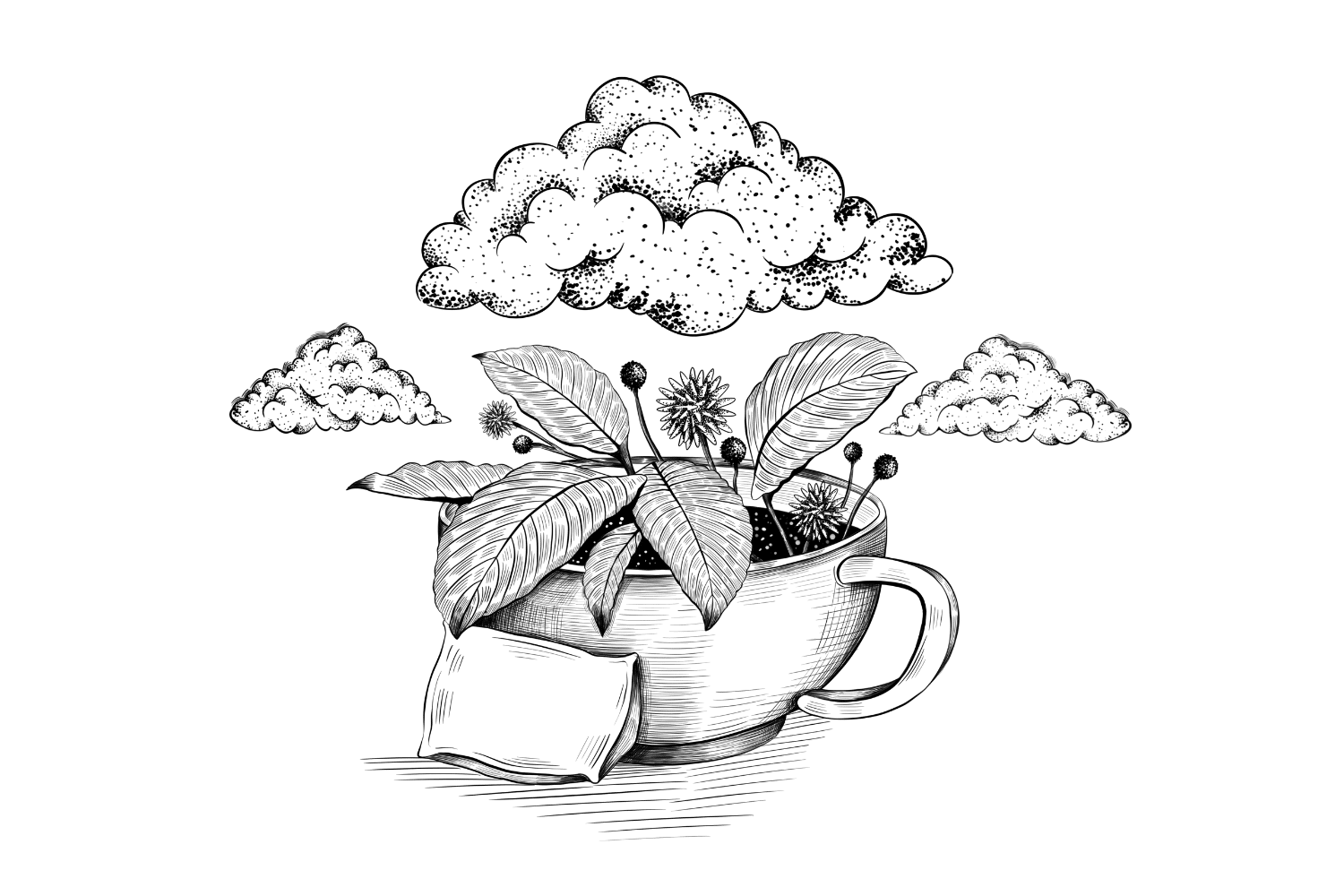 How to Make (Palatable) Kratom Tea In 6 Easy Steps Tripsitter