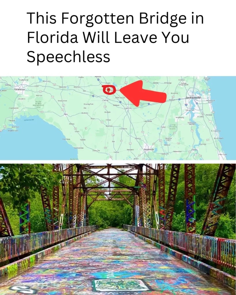Discover This Bridge Suwannee Springs Bridge FL