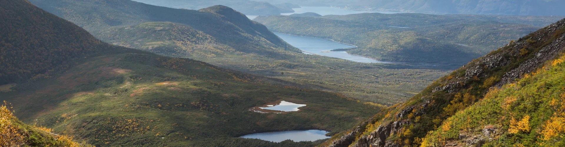 Gros Morne Adventures Trips to Walkabout