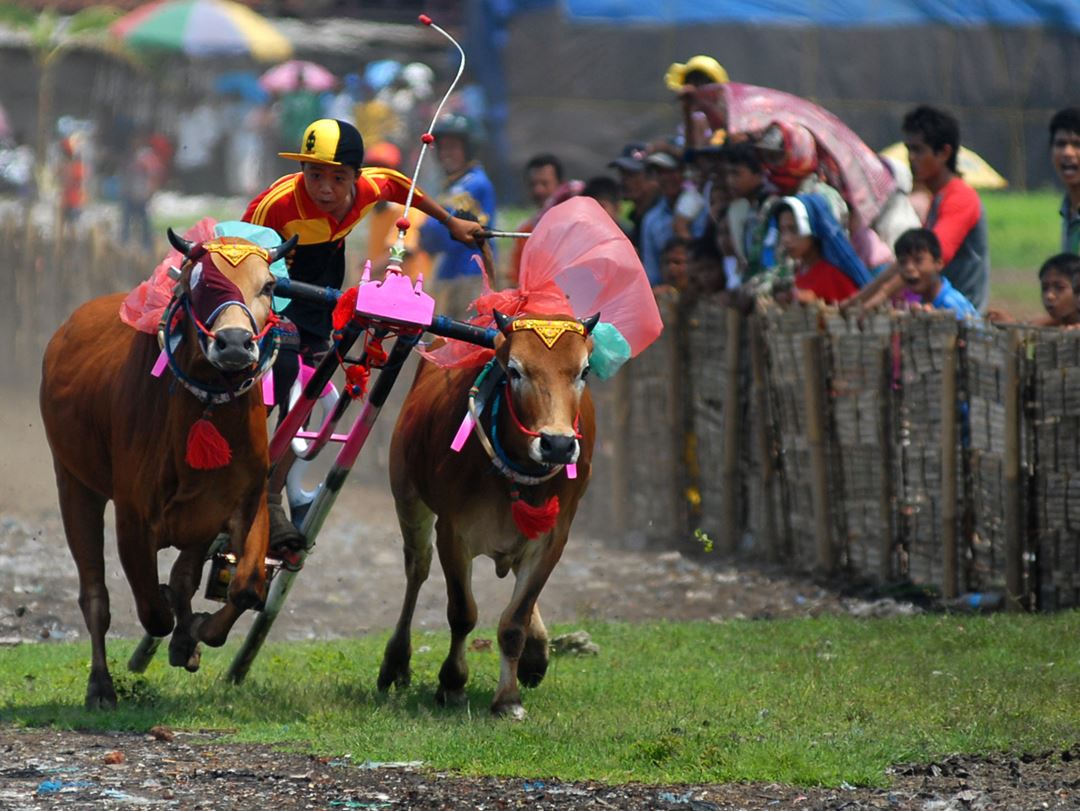 6 Trip Wisata Budaya di Indonesia
