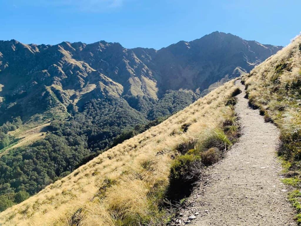 The Ben Lomond Track Trail Guide HIKING ABOVE QUEENSTOWN