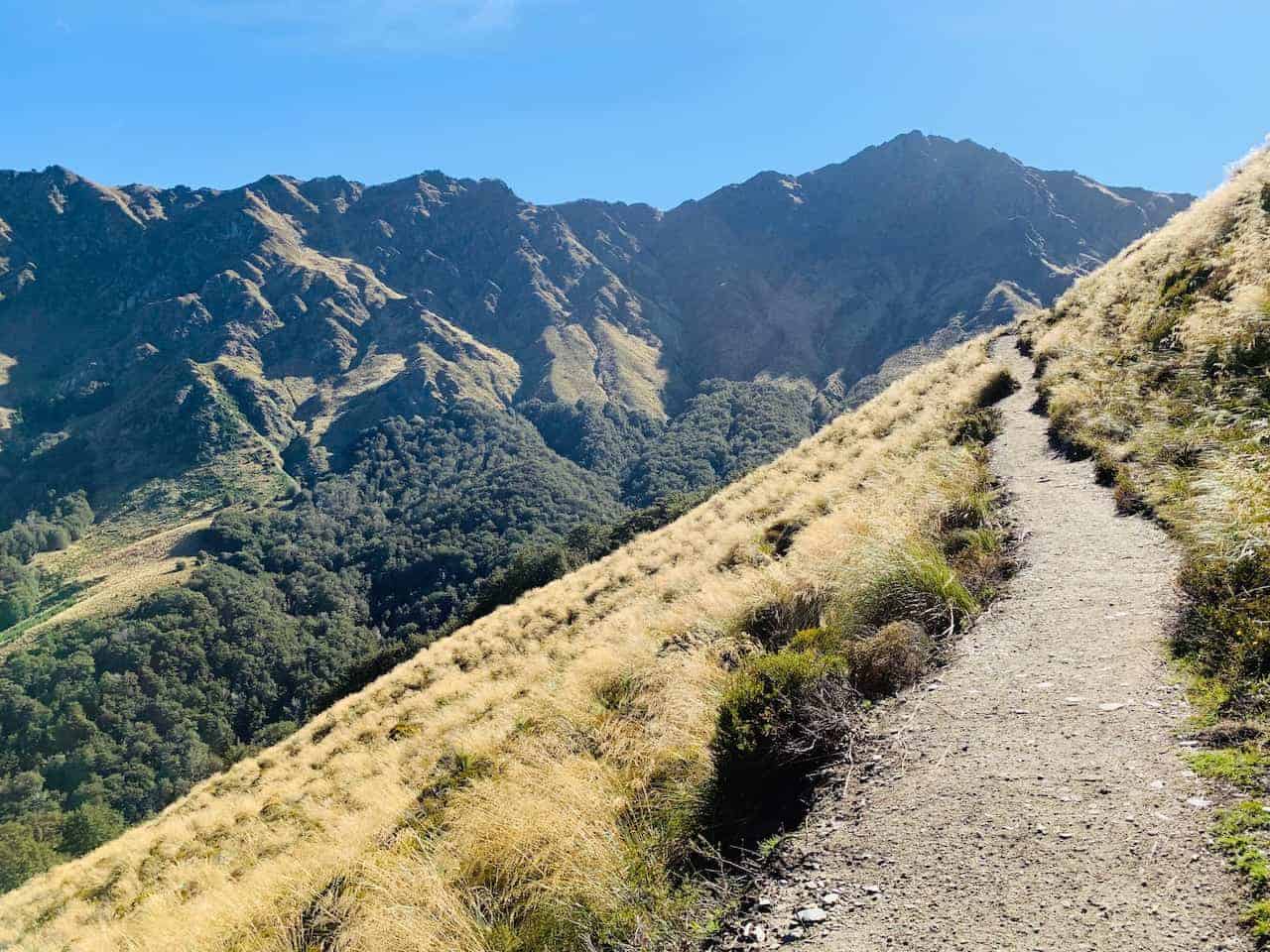 The Ben Lomond Track Trail Guide HIKING ABOVE QUEENSTOWN