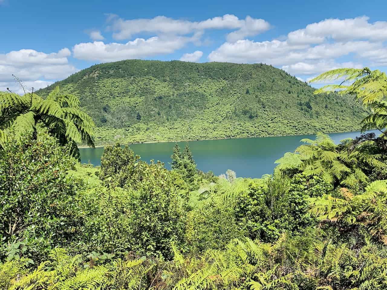 12 BEST Rotorua Activities for Your Trip to New Zealand Itinerary + More!