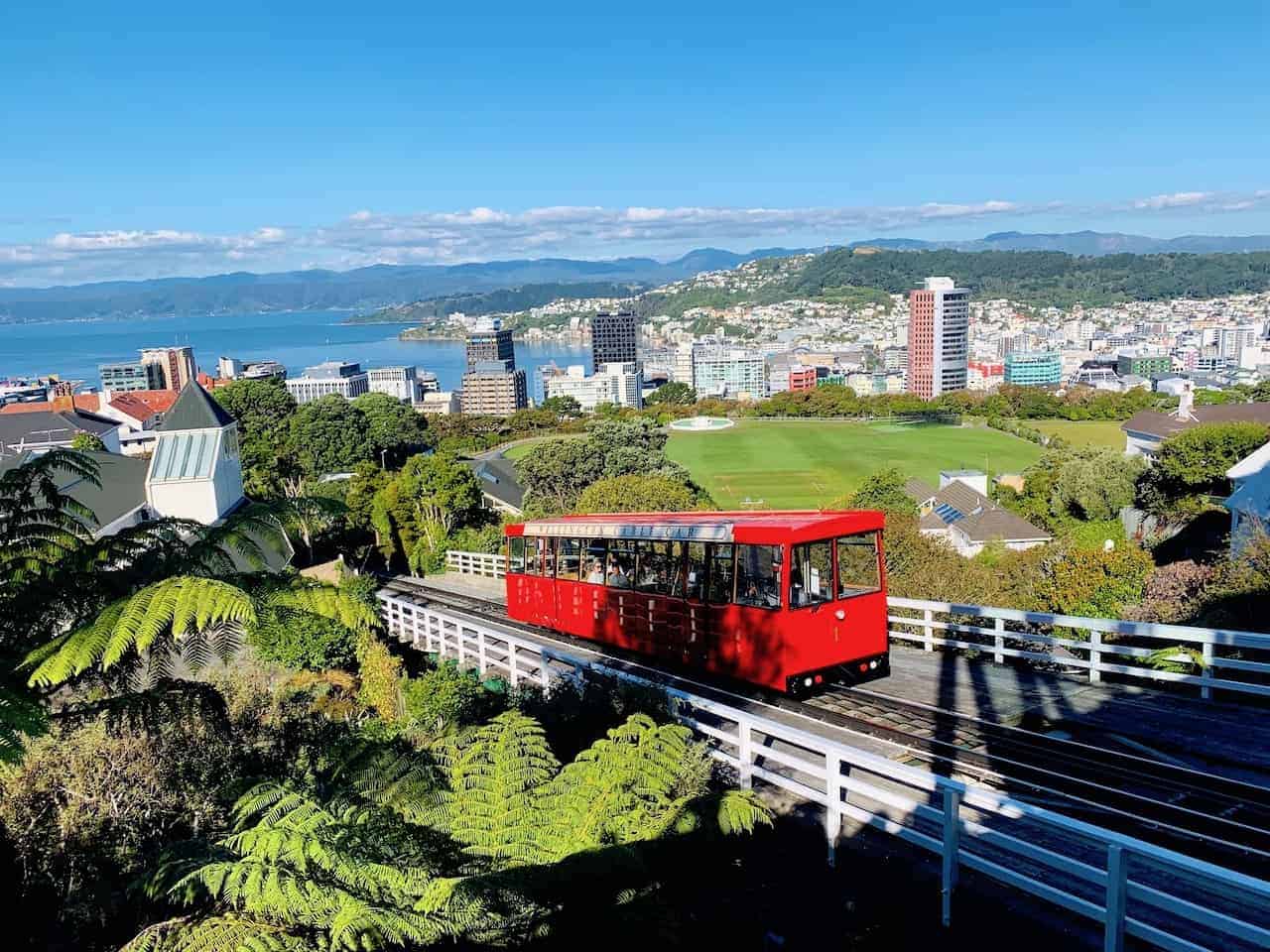 8 MUST DO Wellington Activities A Complete 1 Day Wellington Itinerary