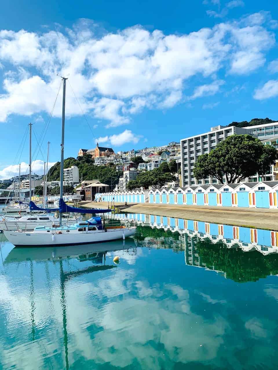 8 MUST DO Wellington Activities A Complete 1 Day Wellington Itinerary