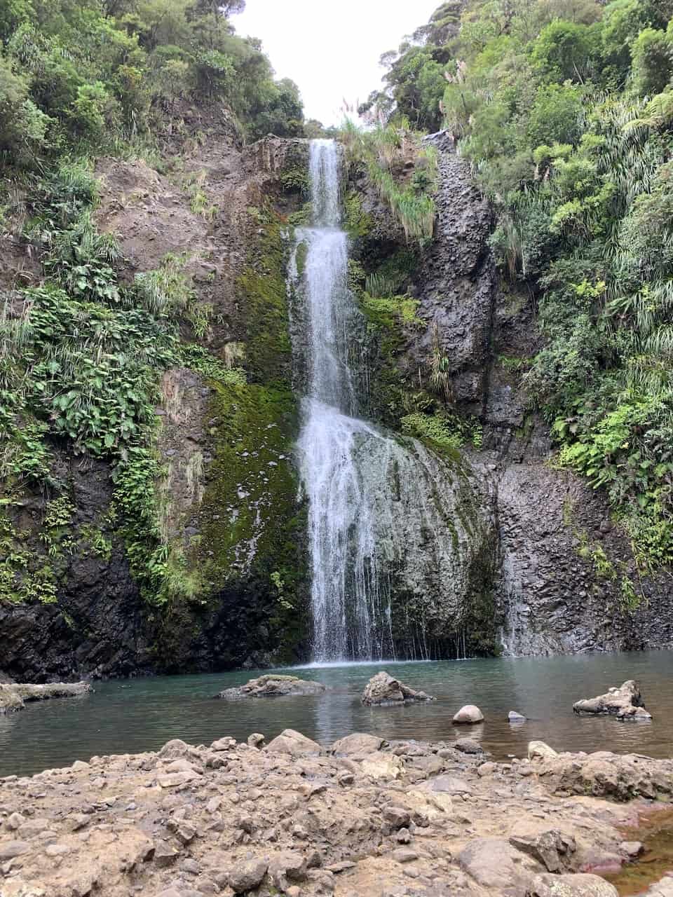 The Kitekite Falls Track of the Waitakere Ranges New Zealand TripTins