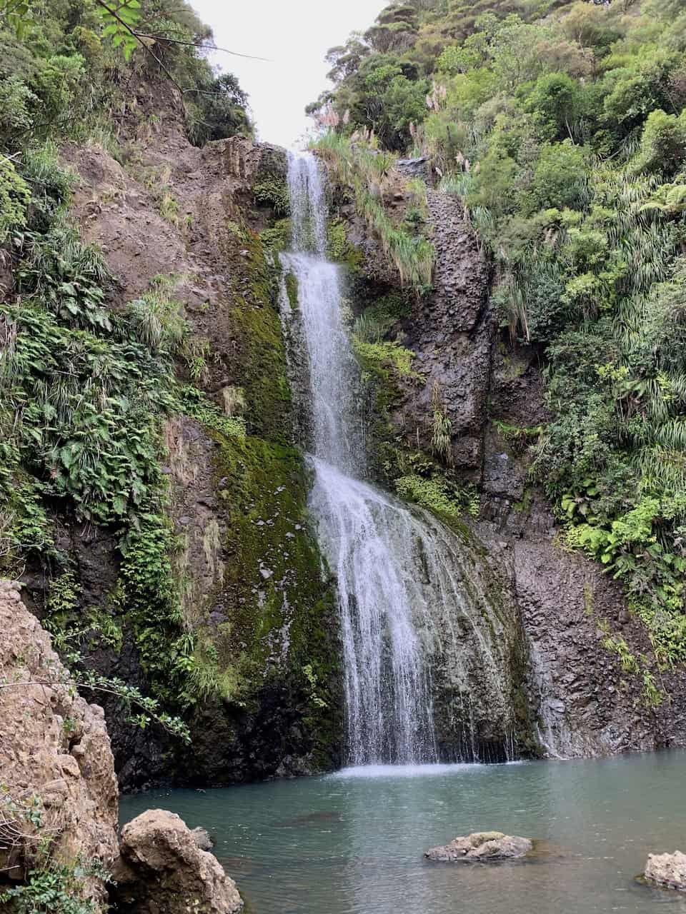The Kitekite Falls Track of the Waitakere Ranges New Zealand TripTins