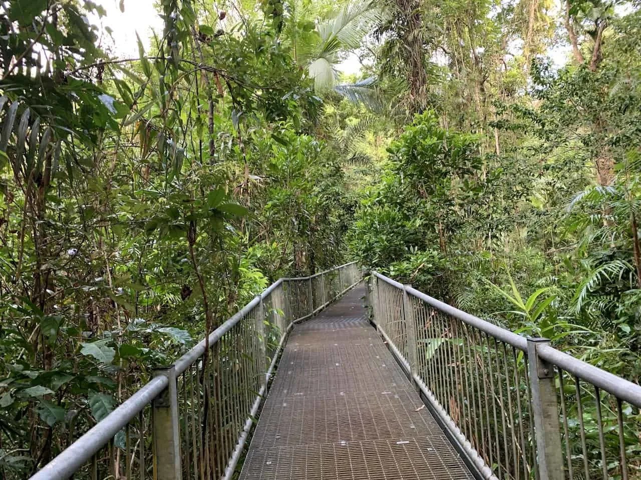 A Complete Overview of the Daintree Discovery Centre Australia
