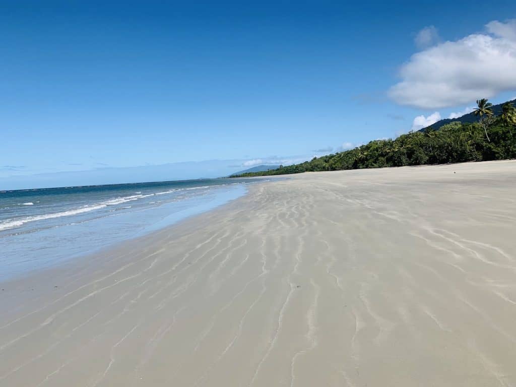 Best in the Daintree Top 10 Daintree Rainforest Hotels