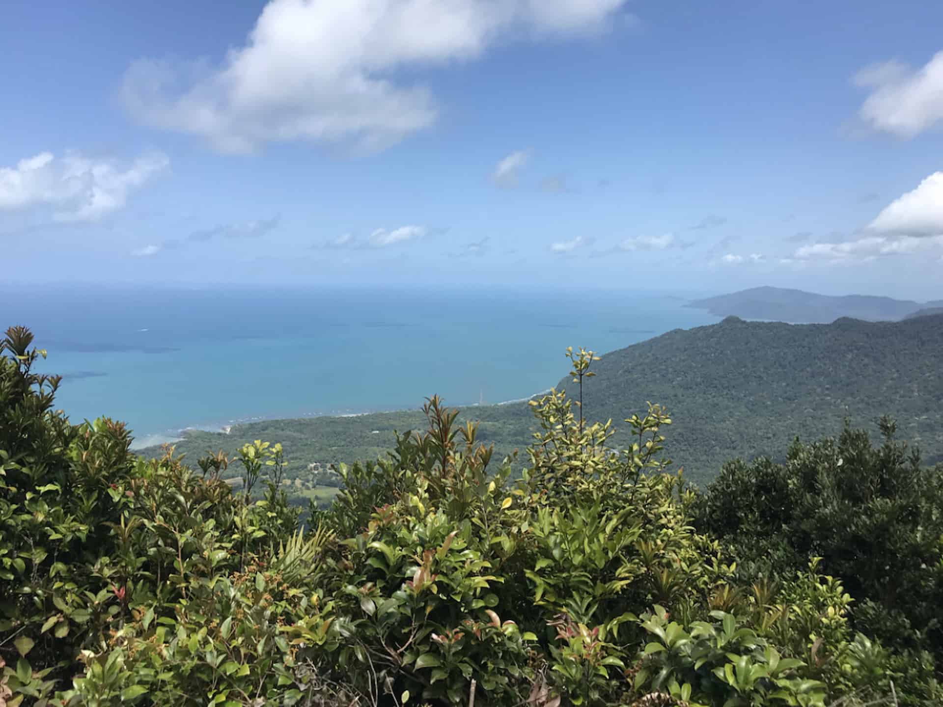 Hiking the Mount Sorrow Ridge Trail Daintree Rainforest Australia