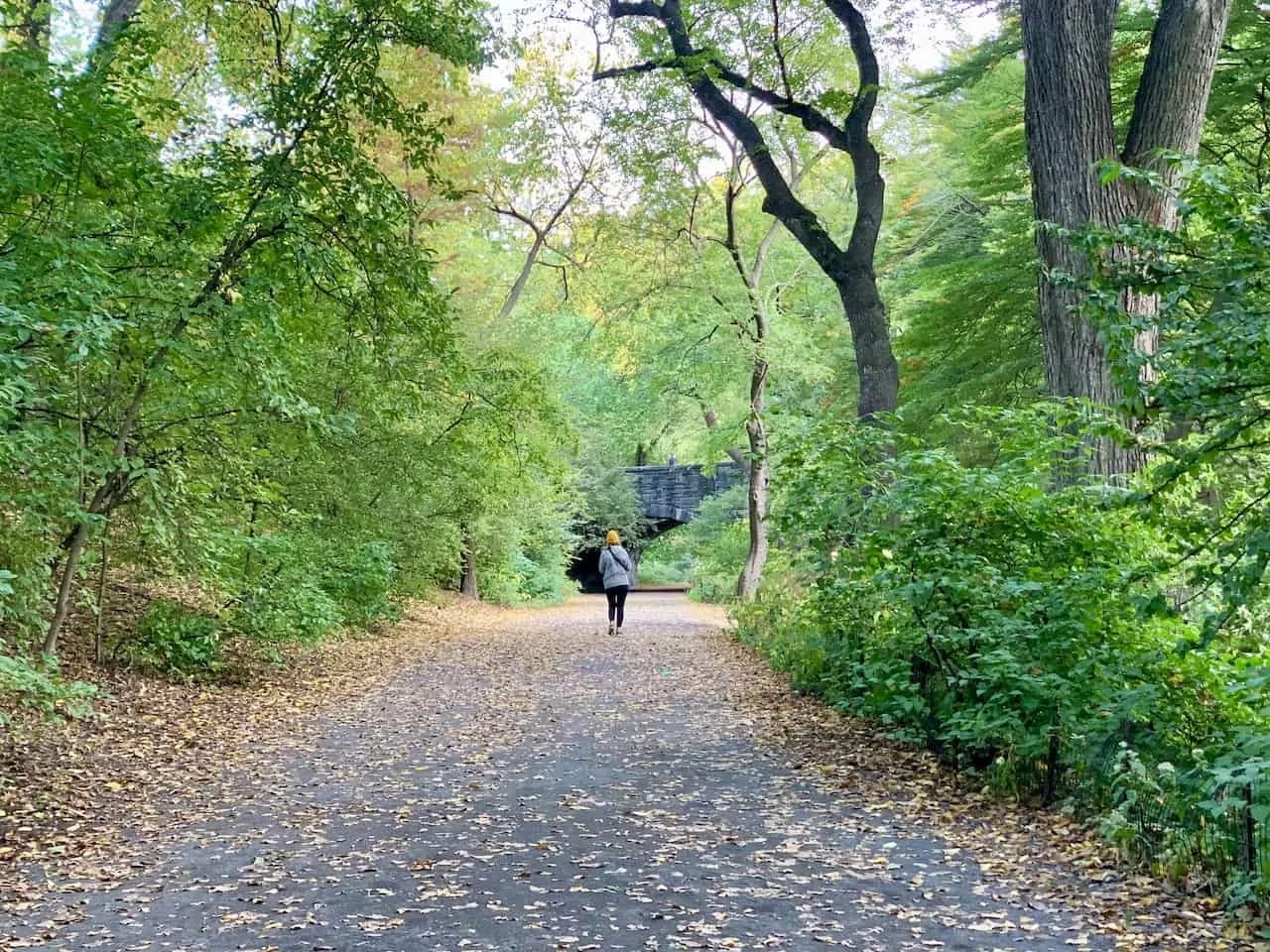 How to Walk & Run the Central Park Bridle Path (Map, Details & Guide)
