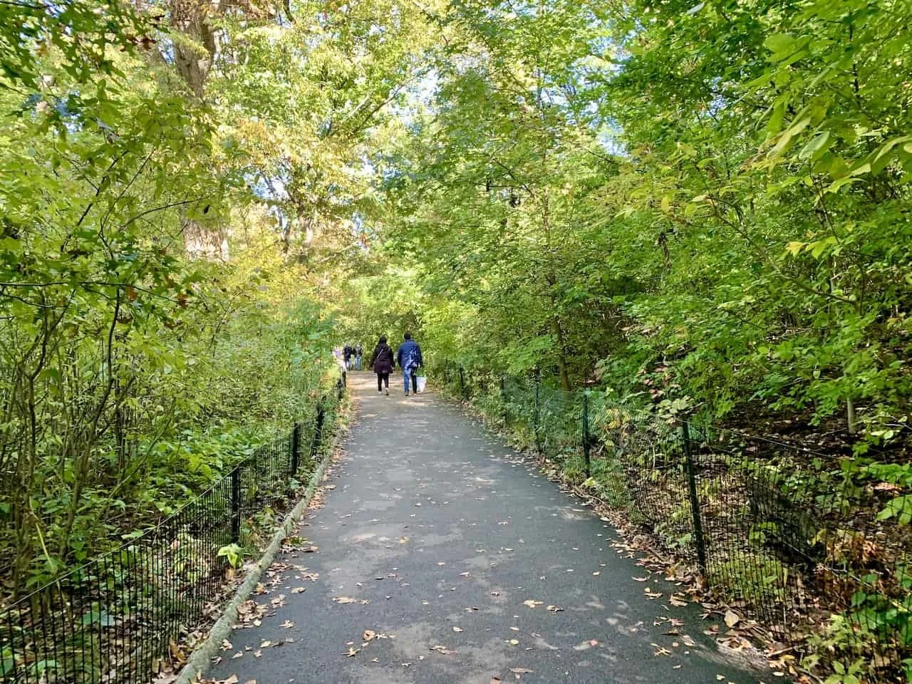 Hiking the Top Central Park Trails (The Loch, Ravine & North Woods)