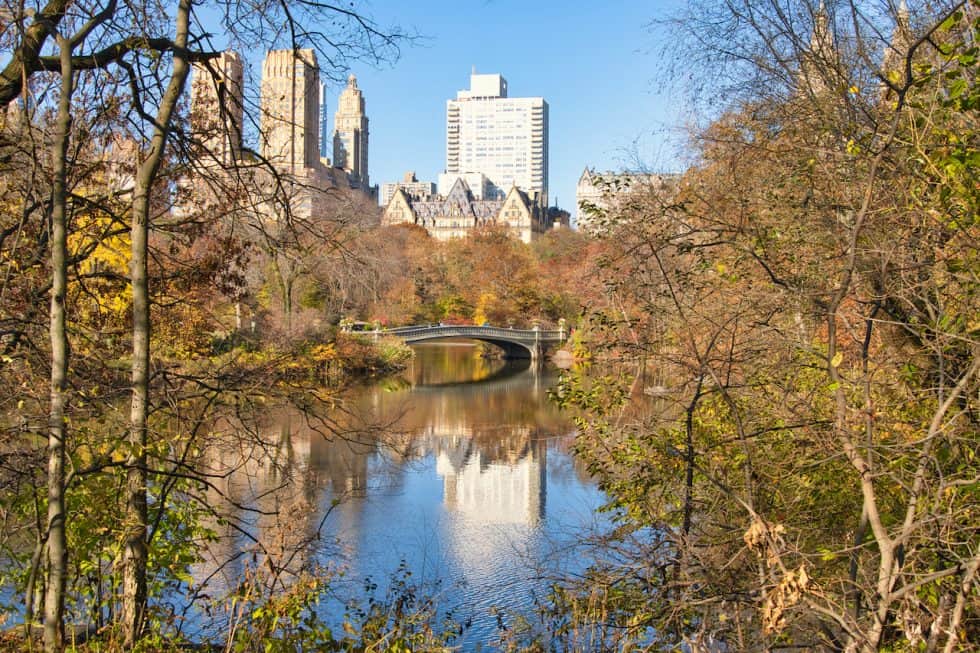 The Ramble of Central Park COMPLETE GUIDE Trails, Map & More!
