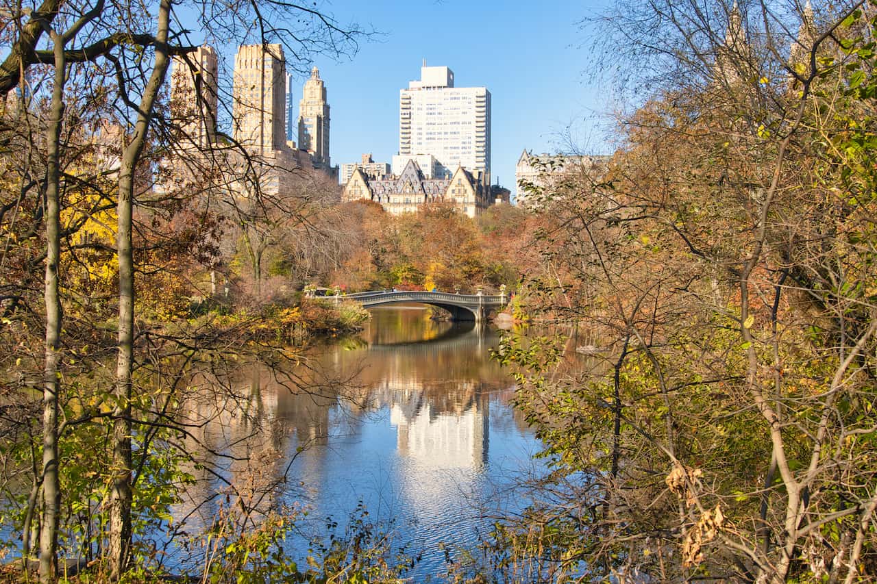 The Ramble of Central Park COMPLETE GUIDE Trails, Map &amp; More!
