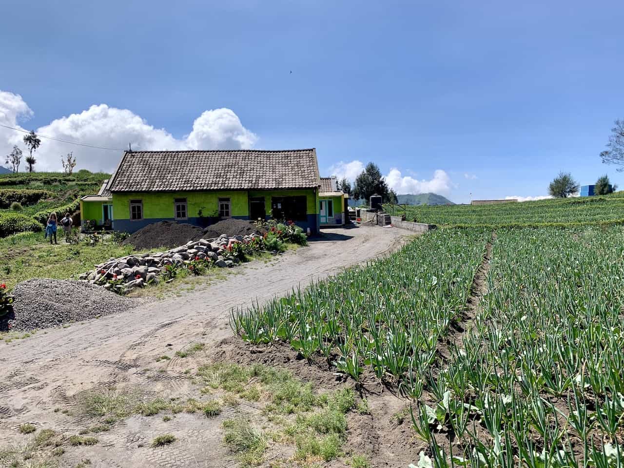 A 1 Week Backpacking Java Itinerary Temples, Volcanos