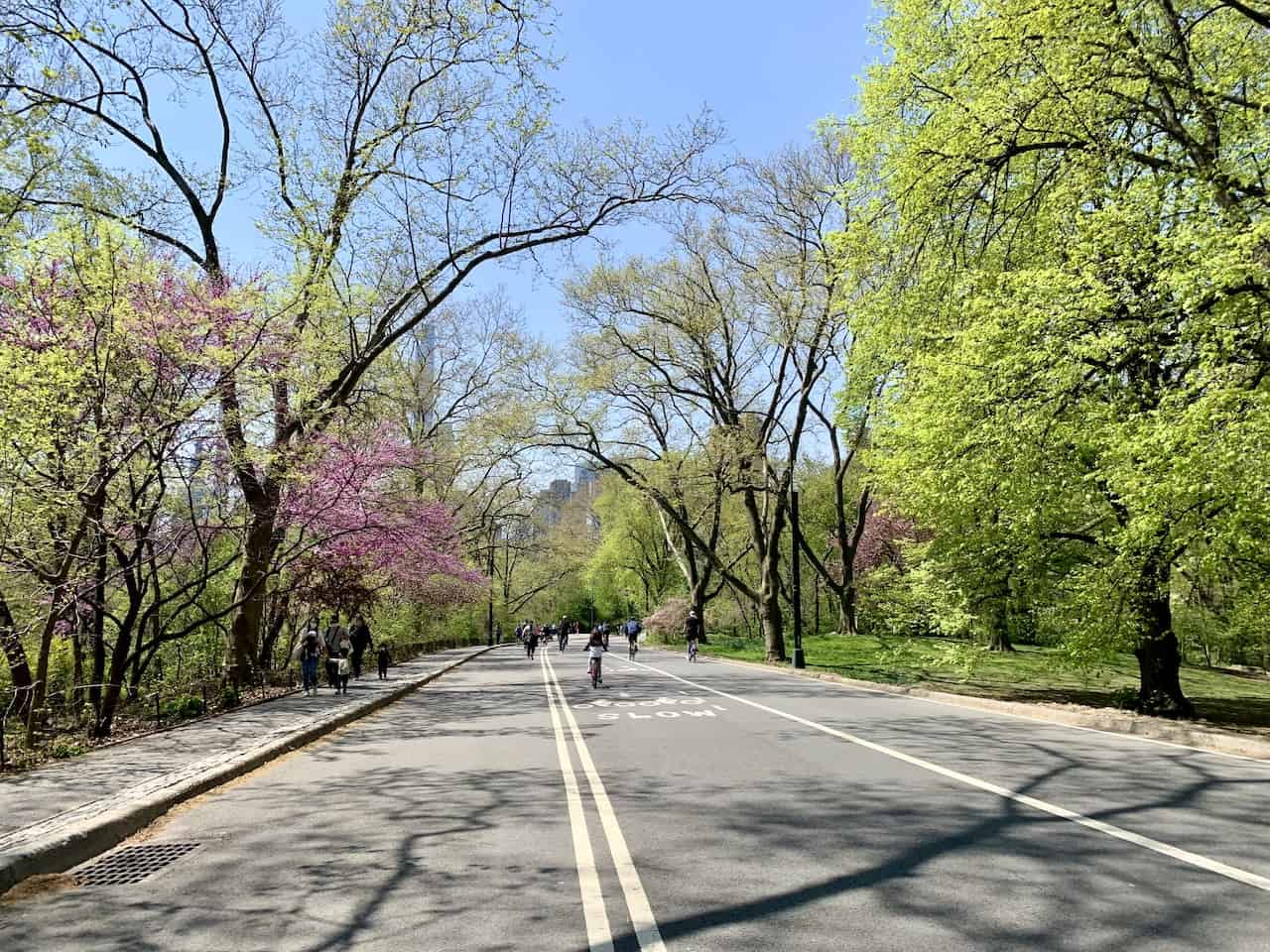 A Complete Guide to Running in Central Park Jogging Routes, Map, Tips