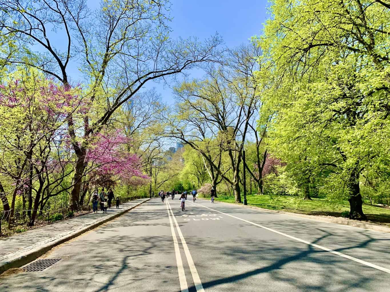Central Park Full Loop Running Guide 6 Mile Loop Central Park + Map