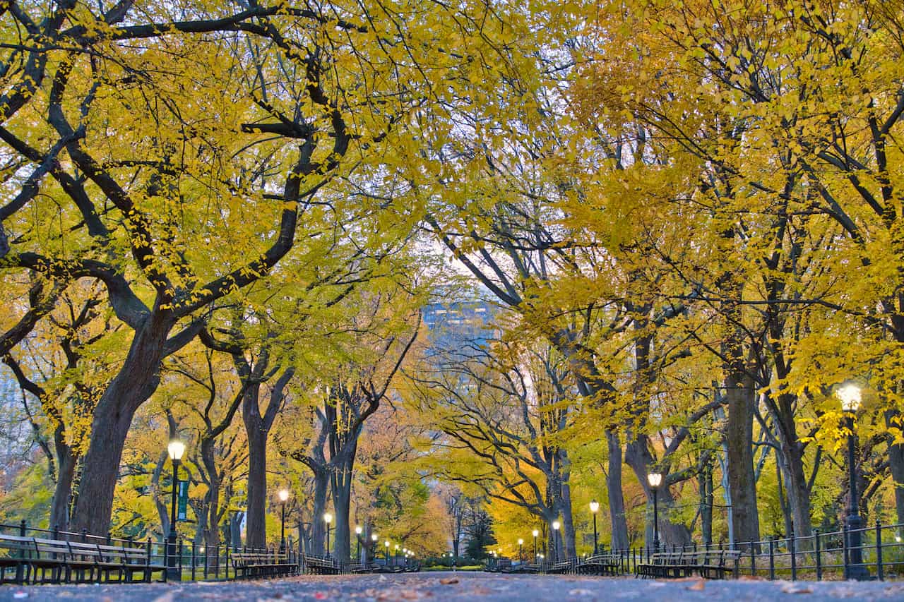 The Top 25 Things To Do in Central Park NYC Map, Photos & More EU