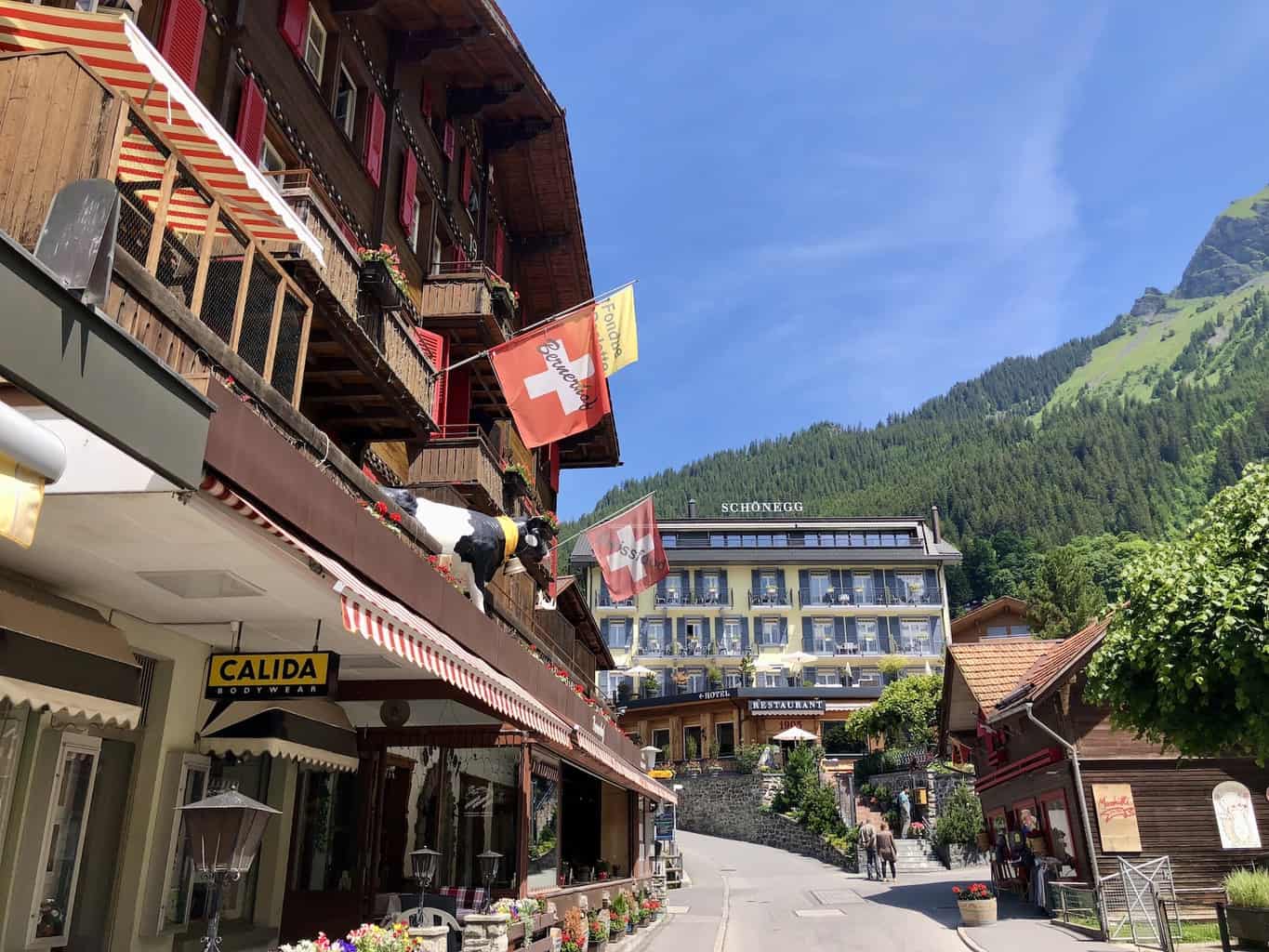 The 15 Best Wengen Hotels Where to Stay in Wengen Switzerland