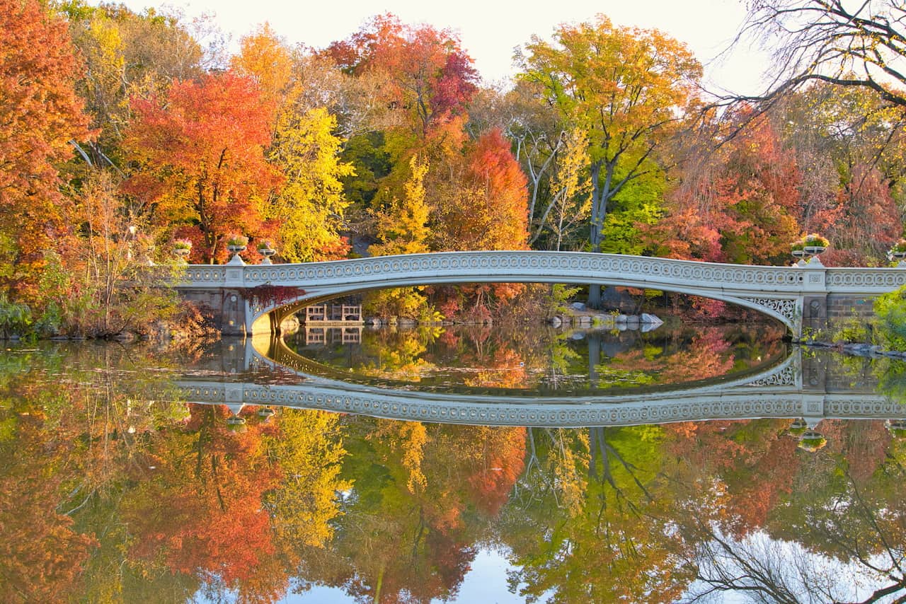 The Top 25 Things To Do in Central Park NYC Map, Photos & More EU