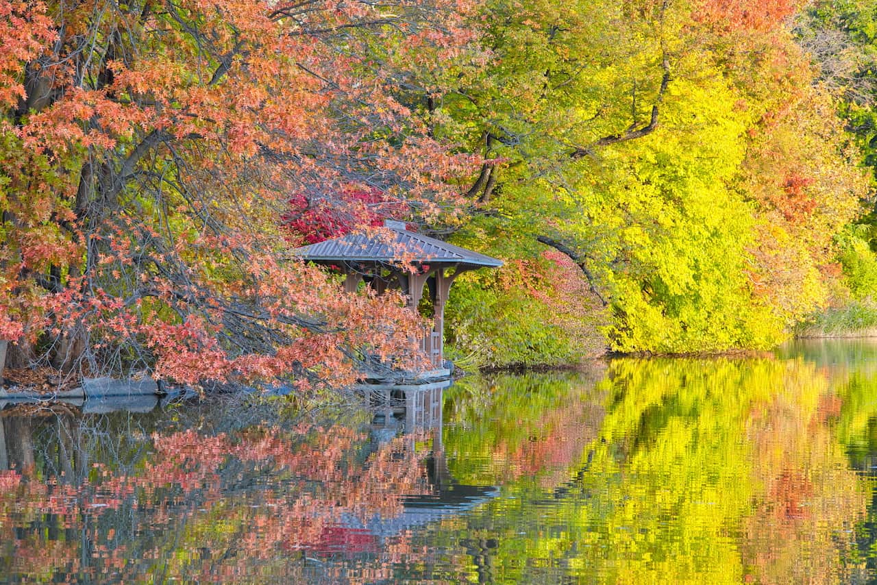 Central Park Fall Foliage Dates 2023 Central Park Fall Foliage Guide | Best Locations & Foliage Map | Triptins