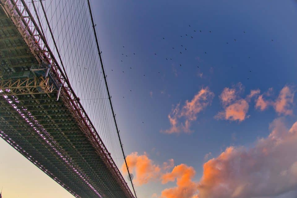 10 Fun & Interesting Brooklyn Bridge Facts (History, Info and More!)