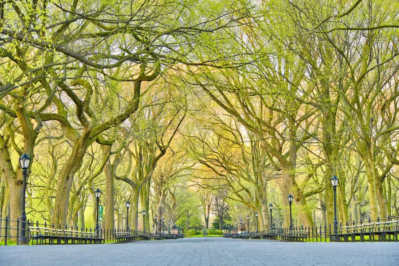 The 50 Best Photo Spots in NYC Places to Take Pictures in New York City