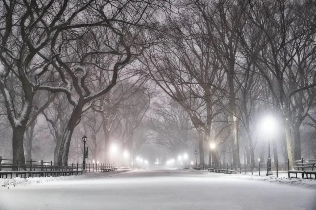 25 Things To Do in New York at Night (Fun, Crazy & Free NYC Activities)